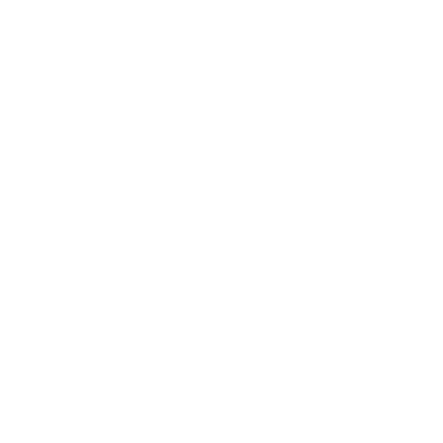 Leo-Lion Logo